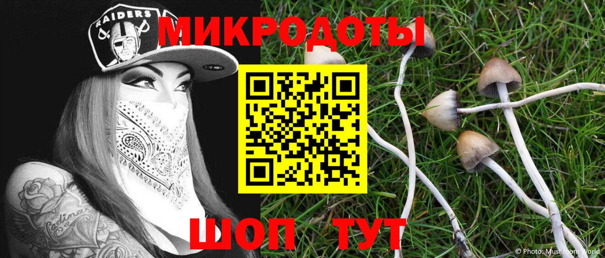 Псилоцибиновые грибы MAGIC MUSHROOMS Десногорск